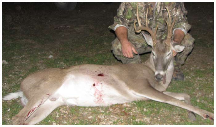 Management Whitetail Buck 09