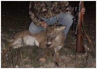 Management Whitetail Buck 09 