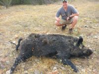 Monster 400 lbs Hog Dec 2012